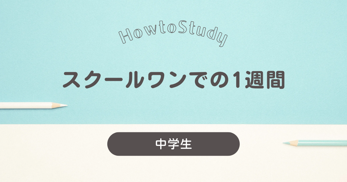 スクール・ワンでの１週間をご紹介！